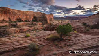 Some of the Most Common Landscape Photography Editing Mistakes