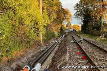 Gemeinderat in Hövelhof vertagt Abstimmung zu Anschlusszwang ans Nahwärmenetz