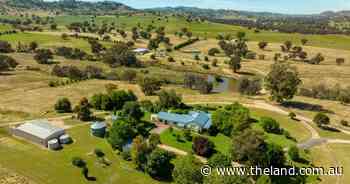 Improved, productive Central West country expected to make about $4000/acre | Video