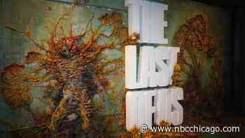 Chicago's Top Doctor Offers ‘Deep Dive' Into Fungus at Center of Zombie Apocalypse in ‘The Last of Us'