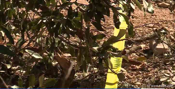 Austin zoo anticipates months of cleanup after ice storm