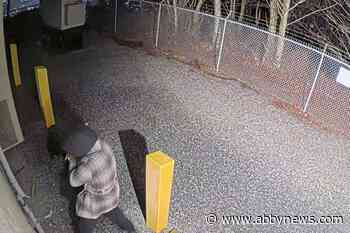 Thousands of dollars in damage caused at Abbotsford cell tower, say police