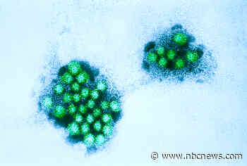 Norovirus appears to be spreading as rate of positive tests spikes