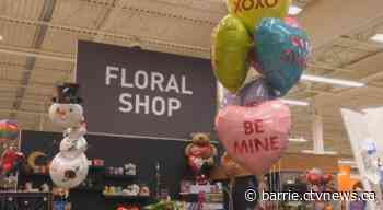 Sweet fundraiser helping Orillia-based shelter this weekend