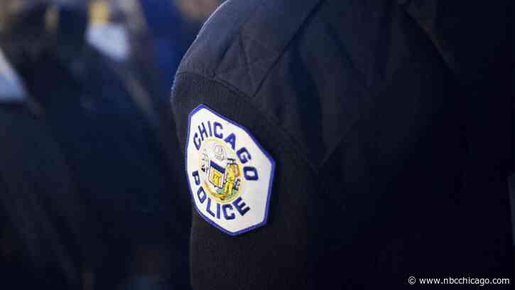 Chicago Police Review Agency: Not Clear If Man Shot at Cops
