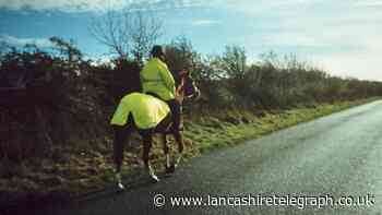 Warning after horse road incidents up by 26 per cent in Lancashire