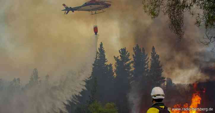 Ausgangssperre wegen Waldbränden in Chile verhängt