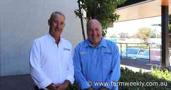 Real estate business ups the ante