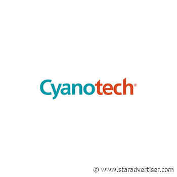 Cyanotech pares expenses as sales decline