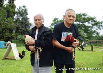 Waiahole Valley residents on Oahu fear mass eviction