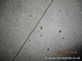 Photos taken at Wirral takeaway show why it was  closed by court