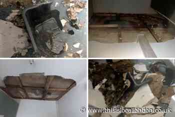 Islington woman's ceiling unfixed after leak and collapse