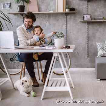 Doppelführung an der Spitze wird endlich salonfähig