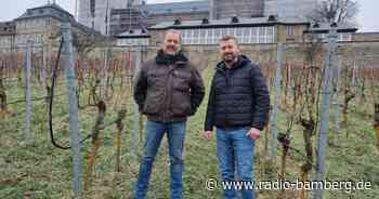 Neuer Winzer für den Michaelsberg gefunden