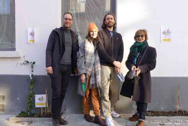 Buurtbewoners maken zelf Marollen groener