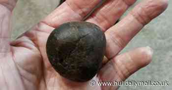 Jet the Labrador needs life-saving surgery after swallowing a huge stone