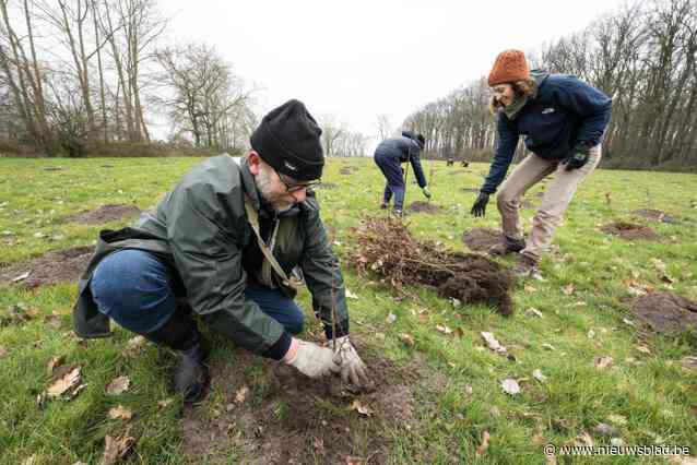 2.000 nieuwe bomen en struiken voor ’t Meuleken