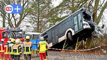 Unfall Schönberg/Schiphorst: Bus kracht in Baum, Fahrer schwer verletzt