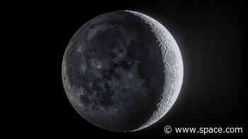 Lunar love affair: Enjoying the beauty of the moon