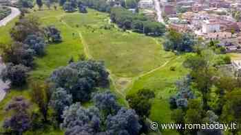 Il parco del Drago come monumento naturale: il municipio lancia la proposta