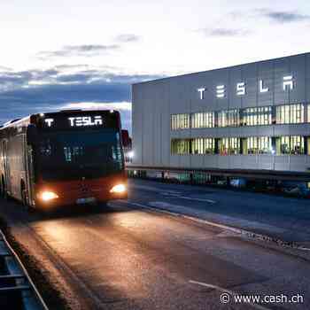 Kursverdoppelung seit Anfang Januar: Weshalb die Tesla-Aktie wieder «en vogue» ist