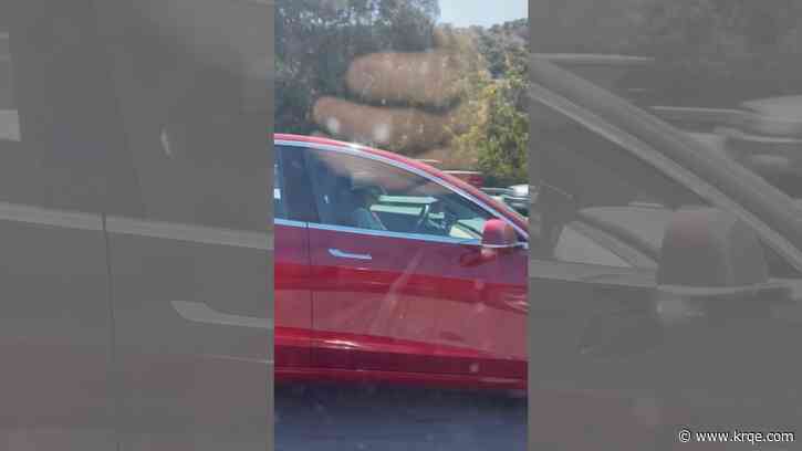Another Tesla driver seen on video napping behind the wheel