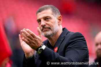 Bilic on Hoedt, Cleverley and Gosling, plus Hause update