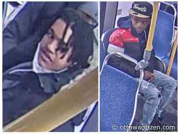 Police seek suspects after man, child shoved in alleged robbery in Billings Bridge area