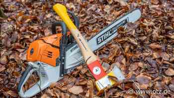 Fällungen nötig in der Jenaer Rautalstraße