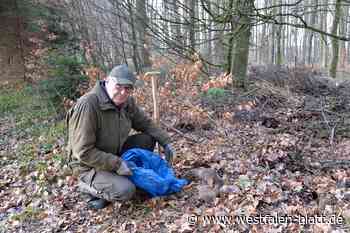 Anwohner finden Überreste von Rehen in Spenge