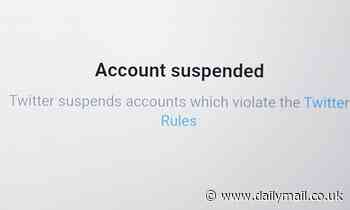 Twitter could rake in £15 million a year from 10 'toxic' accounts reinstated by Elon Musk