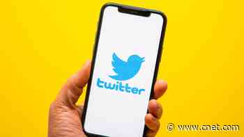 Twitter Gets Scolded by EU Over Its Disinformation Report     - CNET