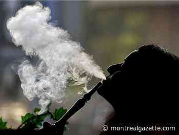 Laval man gets a half-million-dollar fine for contraband tobacco offence