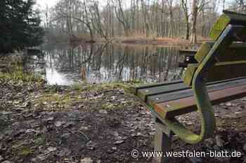 Der Sielpark in Bad Oeynhausen soll schöner werden