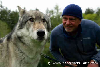 B.C.-shot film explores complexity of wolf-human interactions