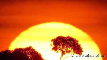 High temps and hot nights for Queensland as heatwave conditions arrive this weekend