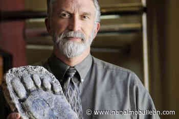 More Victoria residents believe in Bigfoot than you might think