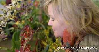 Cantigny Park blossoms with annual orchid show