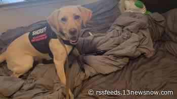 Isle of Wight investigators arrest man on child pornography charges