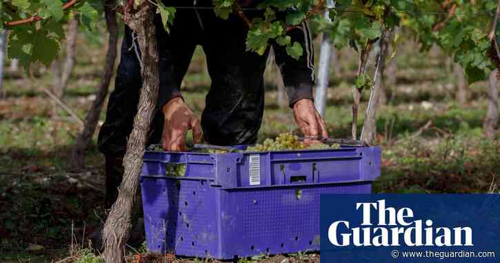 UK recruiter of debt-hit Indonesians loses seasonal workers licence