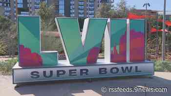 VOTE NOW: What are you looking forward to most about the Super Bowl?