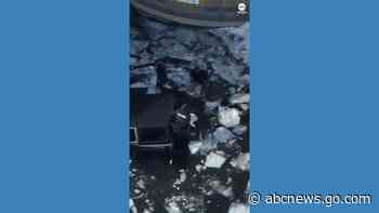 WATCH:  Man, dog rescued from icy waters