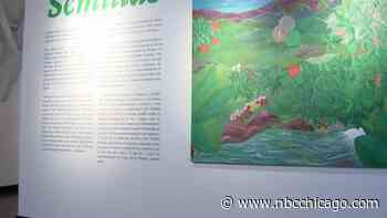 Museum of Puerto Rican Arts and Culture Invites Visitors on Surreal Journey Through Puerto Rico's History