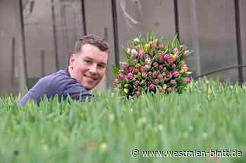 Wir verlosen zehn bunte Tulpensträuße