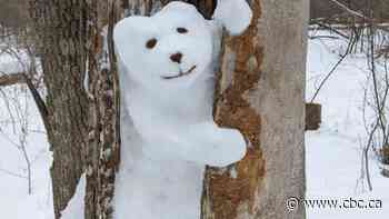 Ottawa woman decorates winter trail with snow bears | The Moment