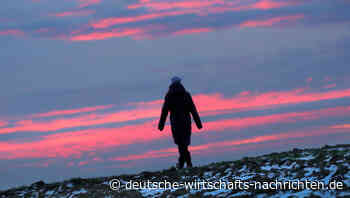 Wirtschaftsweise in „großer Sorge“ über hohe Inflation