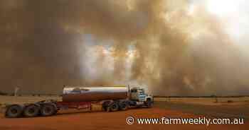 Hope shoots from fire disaster