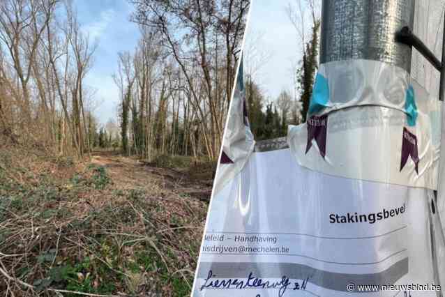 Bos aan Mechelse Vrouwvliet is inzet van juridische strijd: van “biologisch waardevol” tot “ziek en kapot”