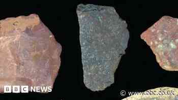 Ancient stone tools found in Kenya made by early humans