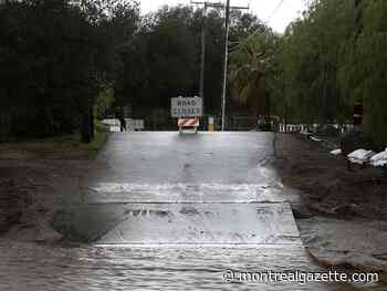 Josh Freed: They call me 'The Looter' in Southern California